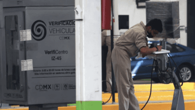 Verificacion 2024